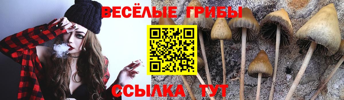 Псилоцибиновые грибы MAGIC MUSHROOMS  Вход с VPN  Еманжелинск  Галлюциногенные грибы мицелий 