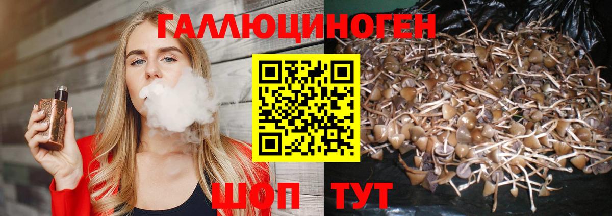 Псилоцибиновые грибы Cubensis Еманжелинск